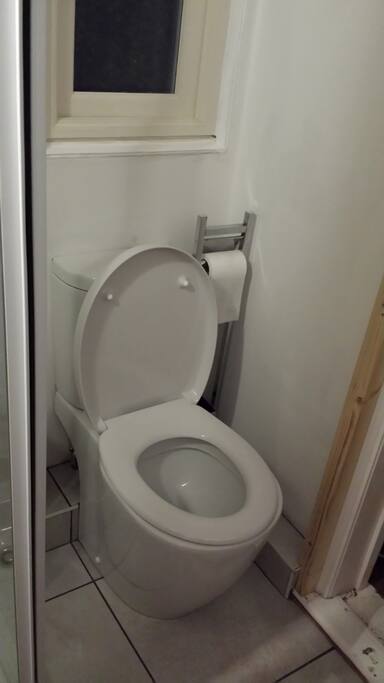 CLEAN FLUSHING TOILET