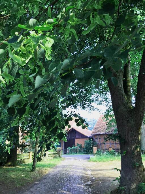 Früher wurden kleine Findlinge vom Acker gesammelt, damit sie die landwirtschaftlichen Maschinen nicht beschädigen. Aus ihnen hat man unserer Hofauffahrt gebaut.