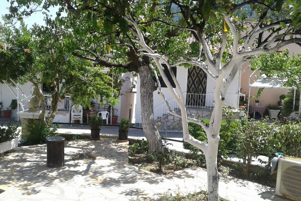 common garden