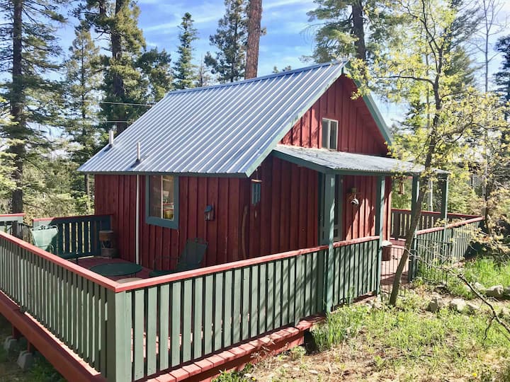 Tea Cozy Cabin on the Mountaintop in Cloudcroft - Cabins ...