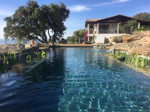 Idyllic quiet stay in countryside, natural pool