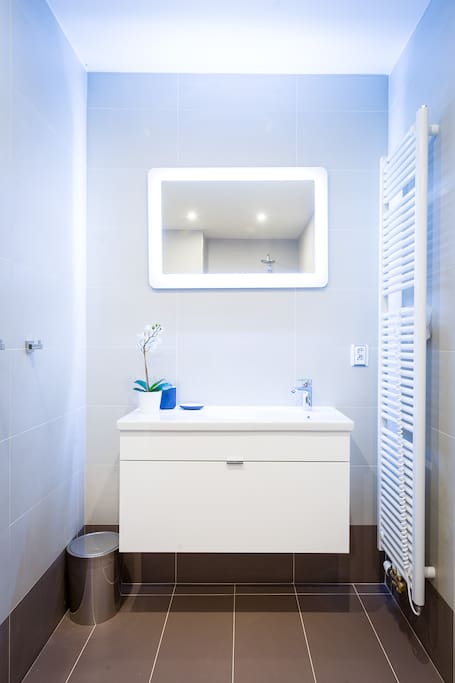 A bathroom is connected to the bedroom.