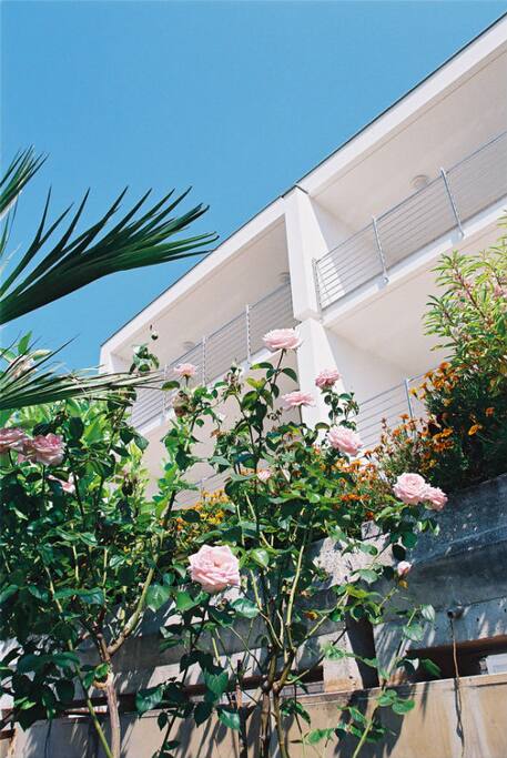 house