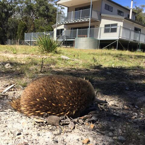 3 Bedroom/3 Bathroom House – 2 night