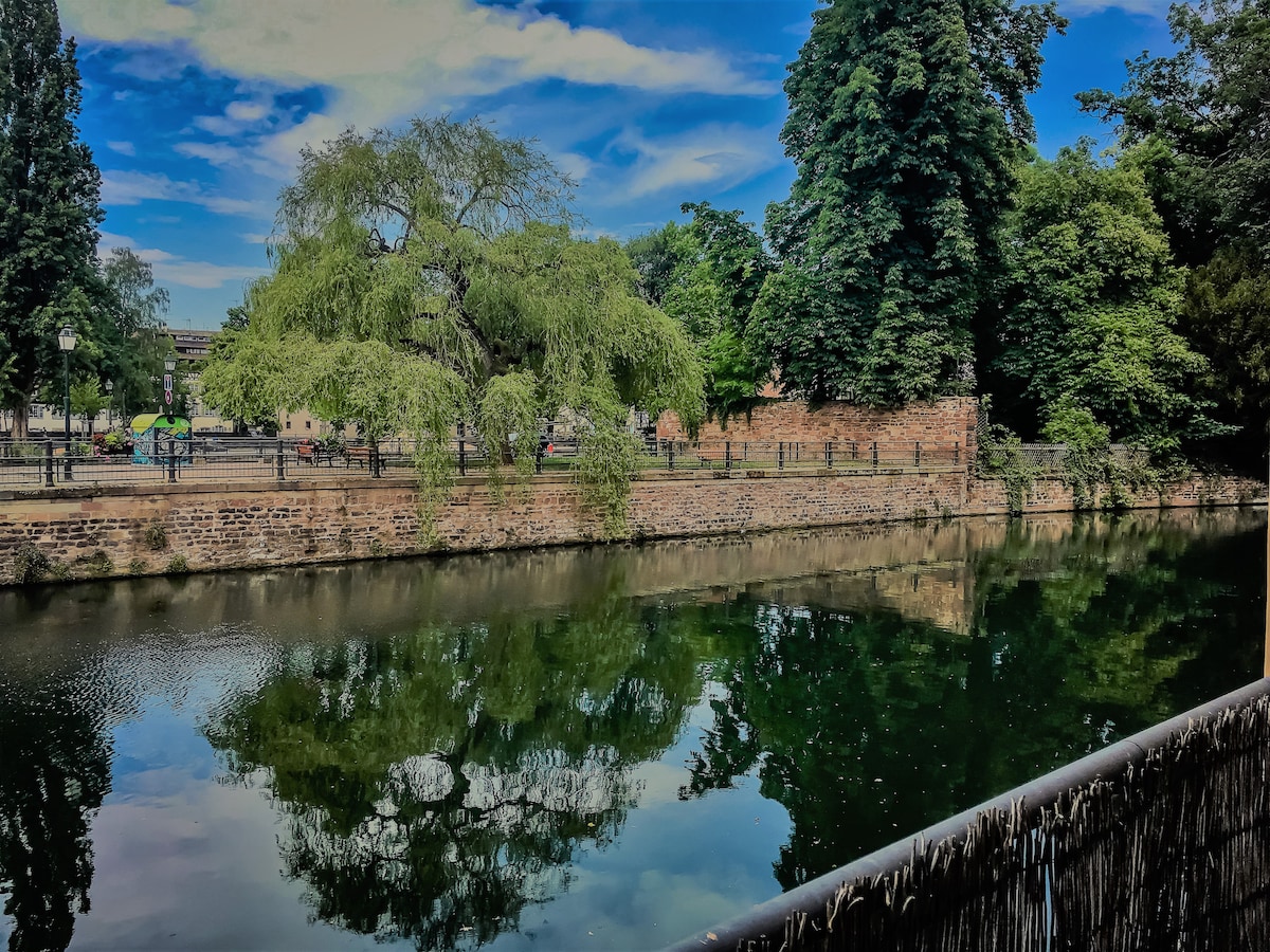 The image depicts a serene waterway surrounded by lush greenery, with reflections of trees and stone walls visible on the calm surface. A low fence and pathways can be noticed along the water's edge, contributing to the tranquil setting.