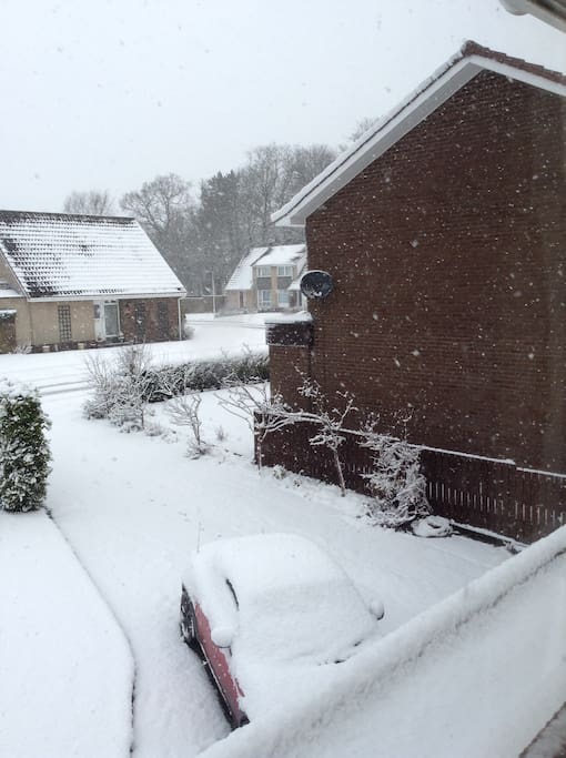 Winter