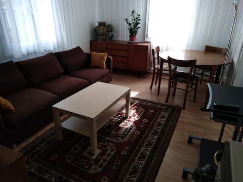 Whole apartment at Europaplatz