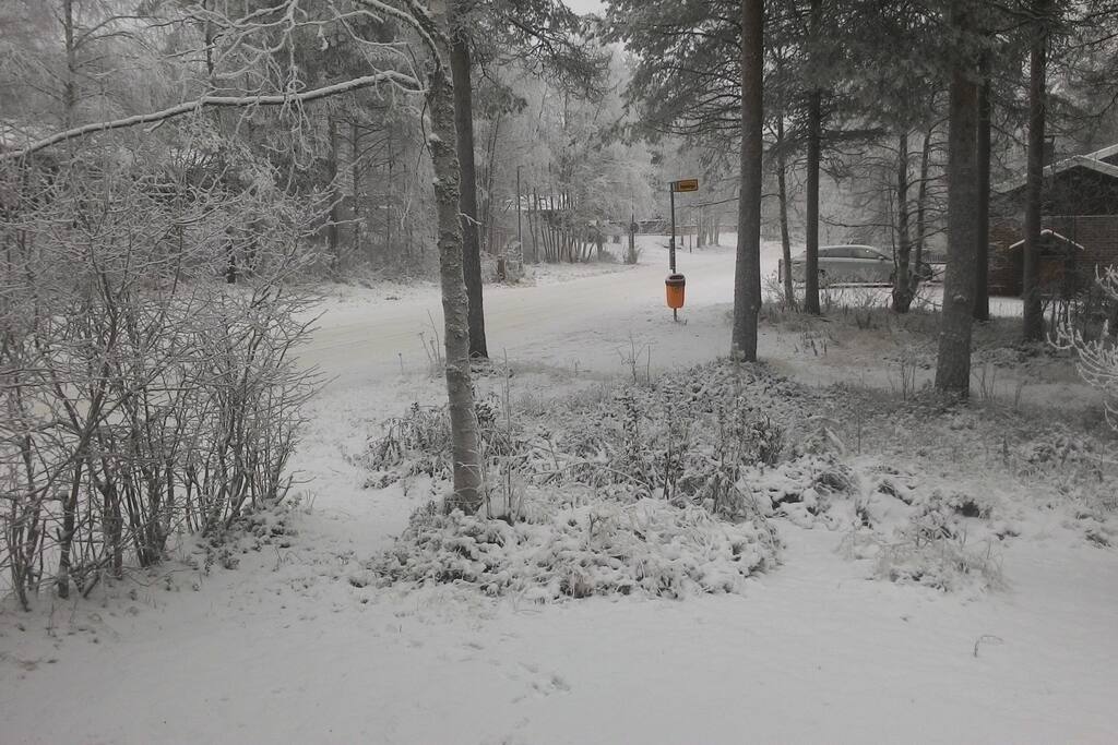 Bus stop 20m from the house.