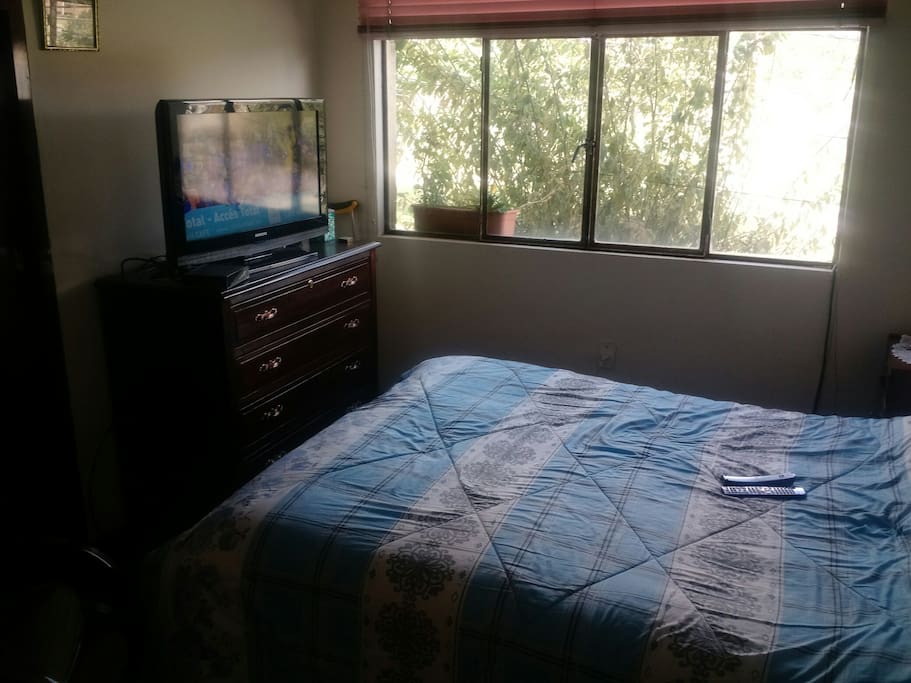 Habitación Cama King Size