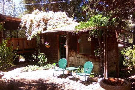 The Bunkhouse in Wylld Lily Gardens