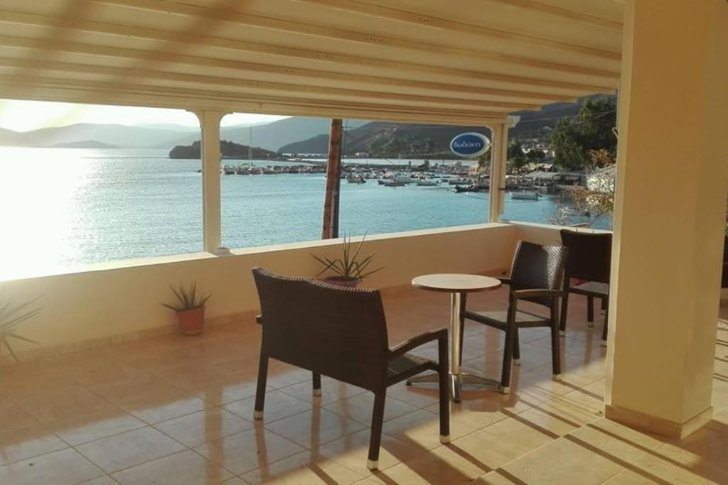 View from the terrace