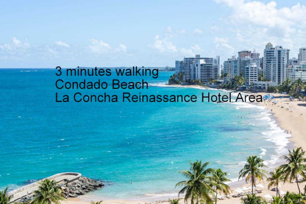 Casinos, Bars & Restaurants just Walking Distance