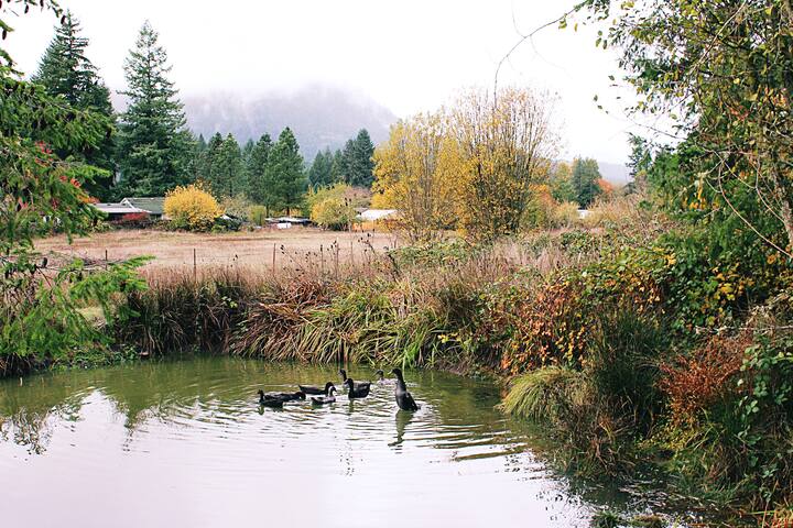 Olympic Trials Lavish Country Retreat Farm Stays For Rent In