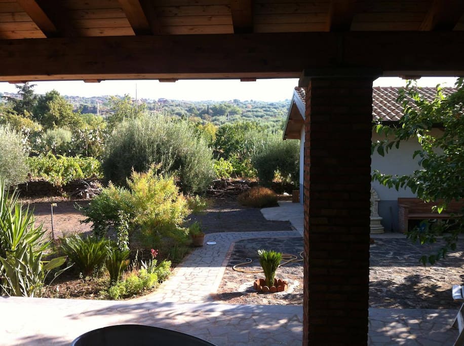 View From the house