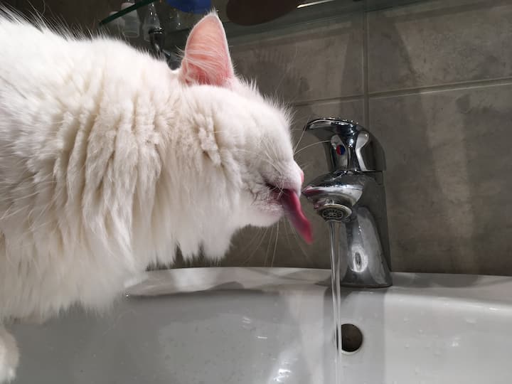 Odavde nema izlaza, fotografija br. 1