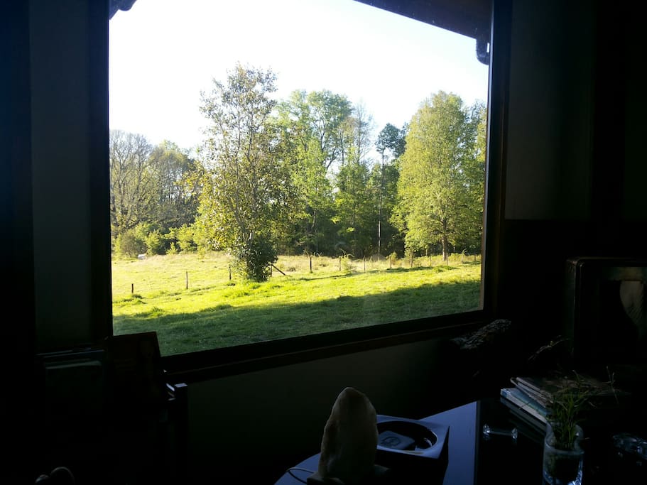 Vista desde el living