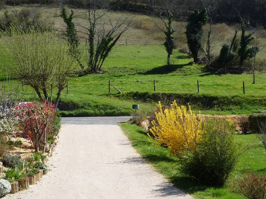 l'entrée