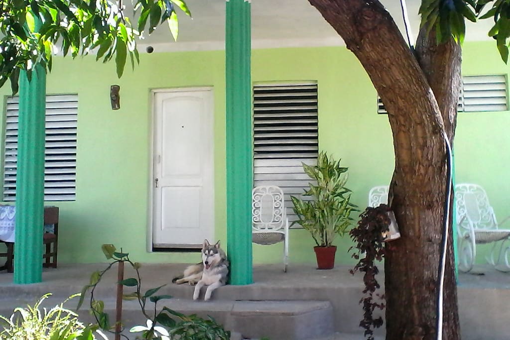 Welcome to Sunny Beach House