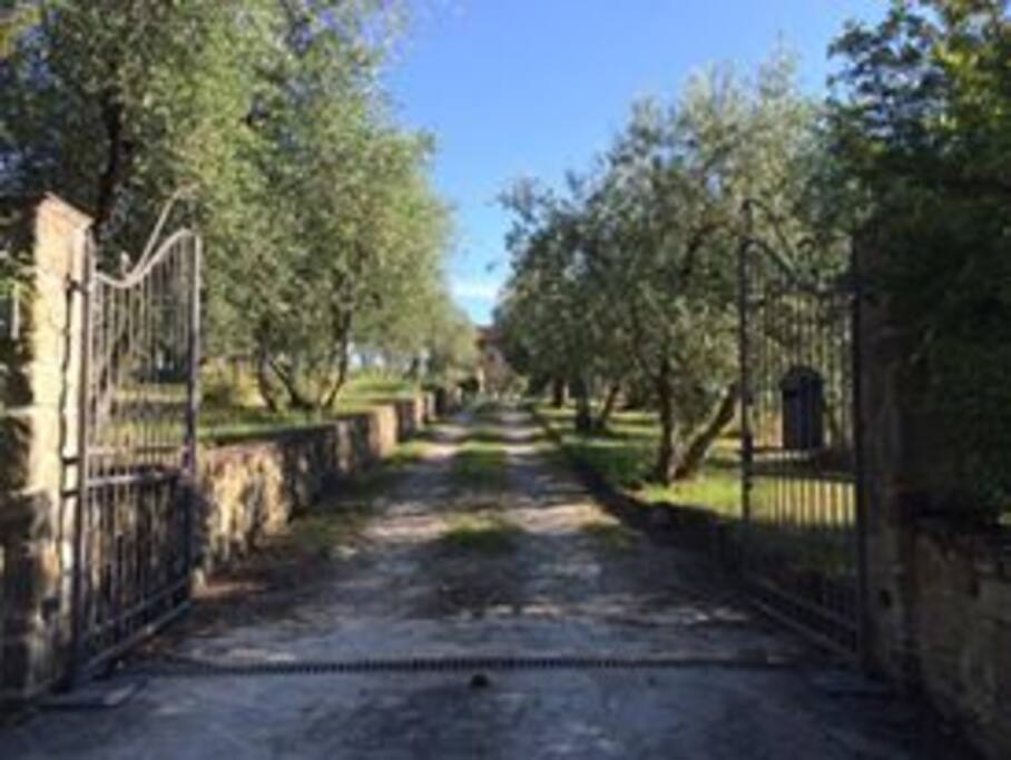 Gate of our little paradise!
