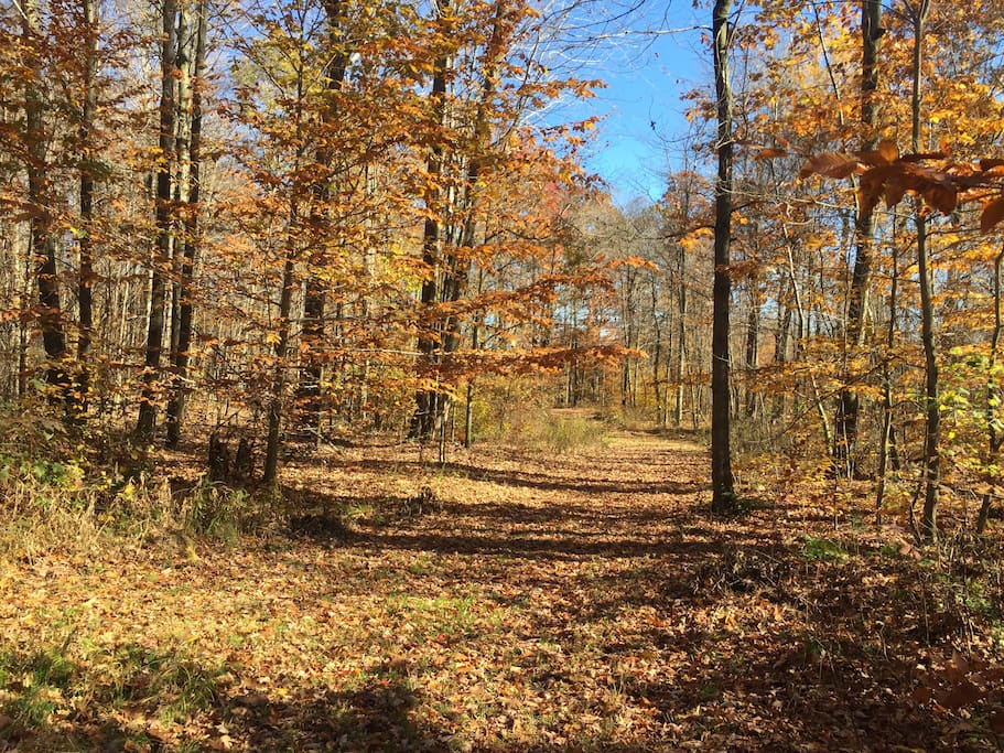 Walking trails