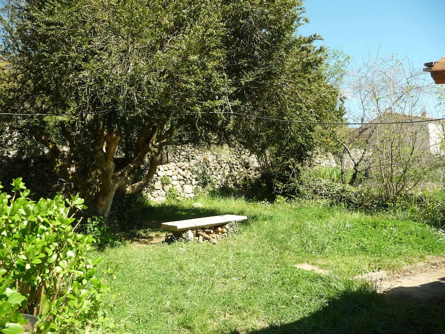 Coin jardin sous le buis