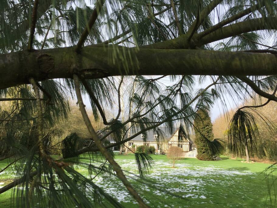 du fond du grand jardin