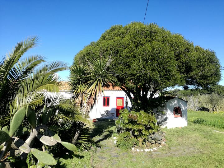 Casas junto à praia em Praia de Monte Clérigo, Aljezur Aljezur, Portugal Airbnb