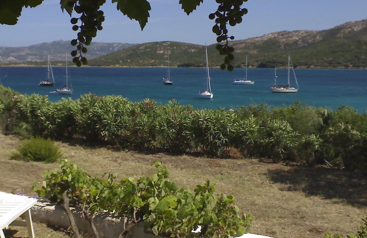 A serene view of the ocean is presented, featuring several sailboats anchored in the water. Lush greenery borders the foreground, while the distant hills gently rise along the coastline, creating a tranquil and natural landscape.