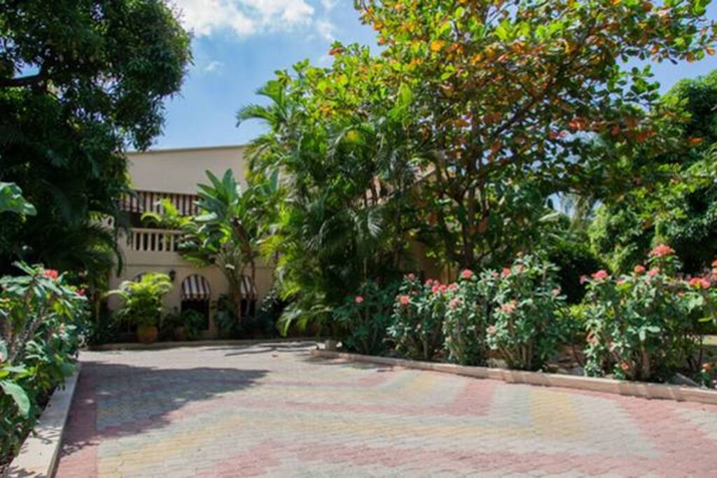 Outside driveway