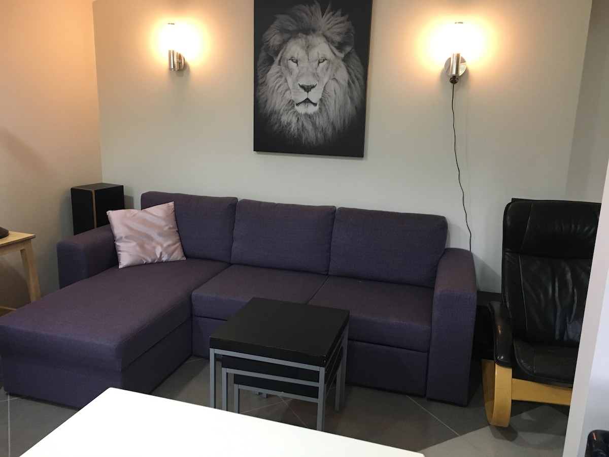 ห้องนั่งเล่น/ครัว (โซฟาเบดสำหรับผู้เข้าพักเพิ่ม 2 คน)