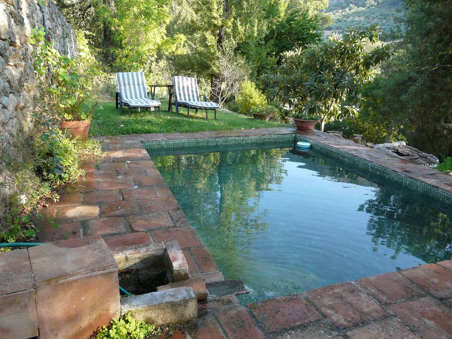Piscina Alberca