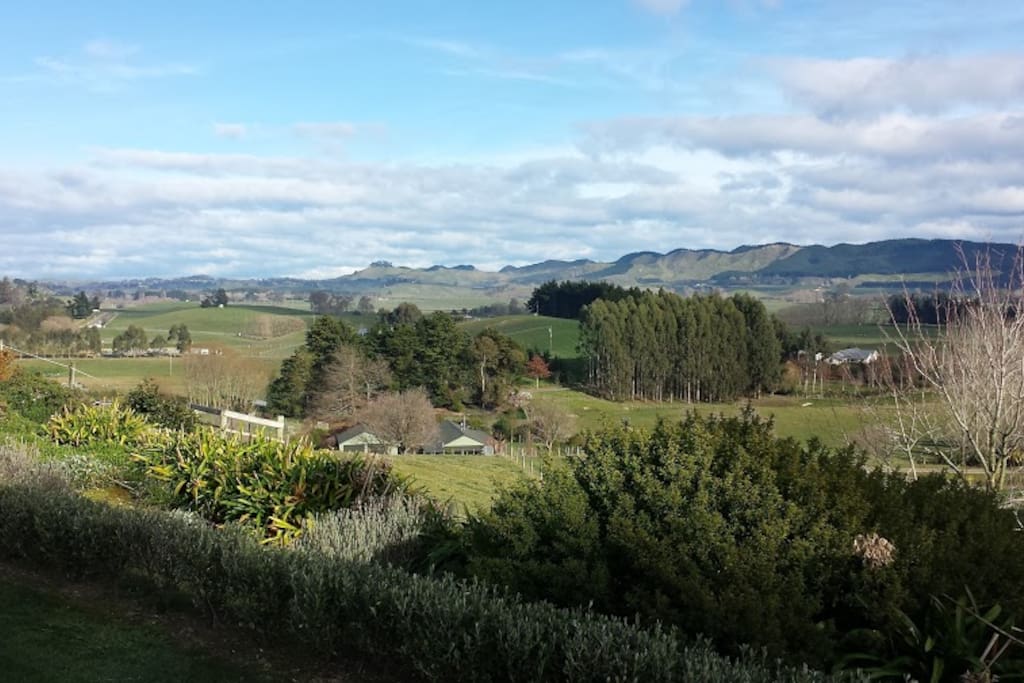 View from the house