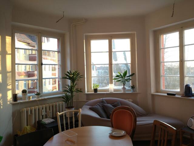 Bright, large old-style room in the center