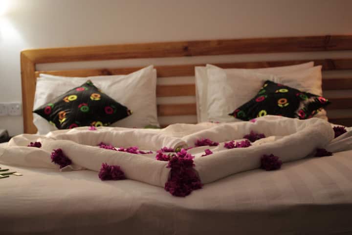 Habitacion