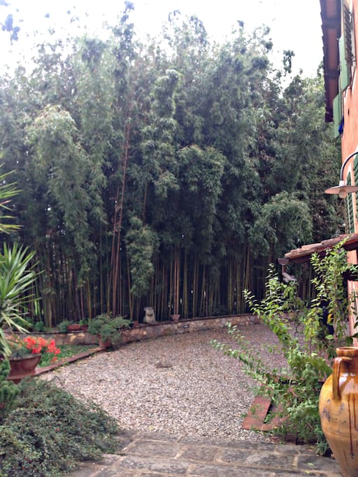 Il Canneto
Bamboo canes.