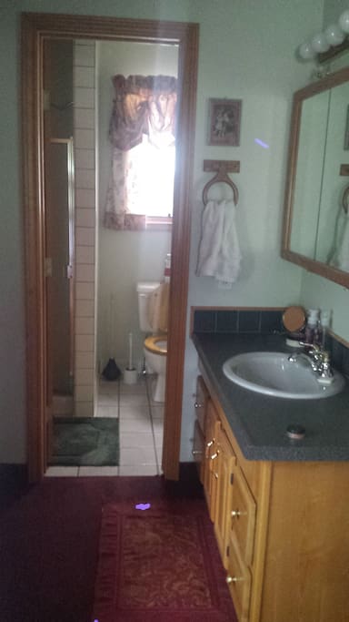 shower bathroom inside of bedroom.