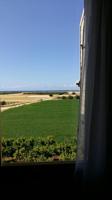 Views from main bedroom window