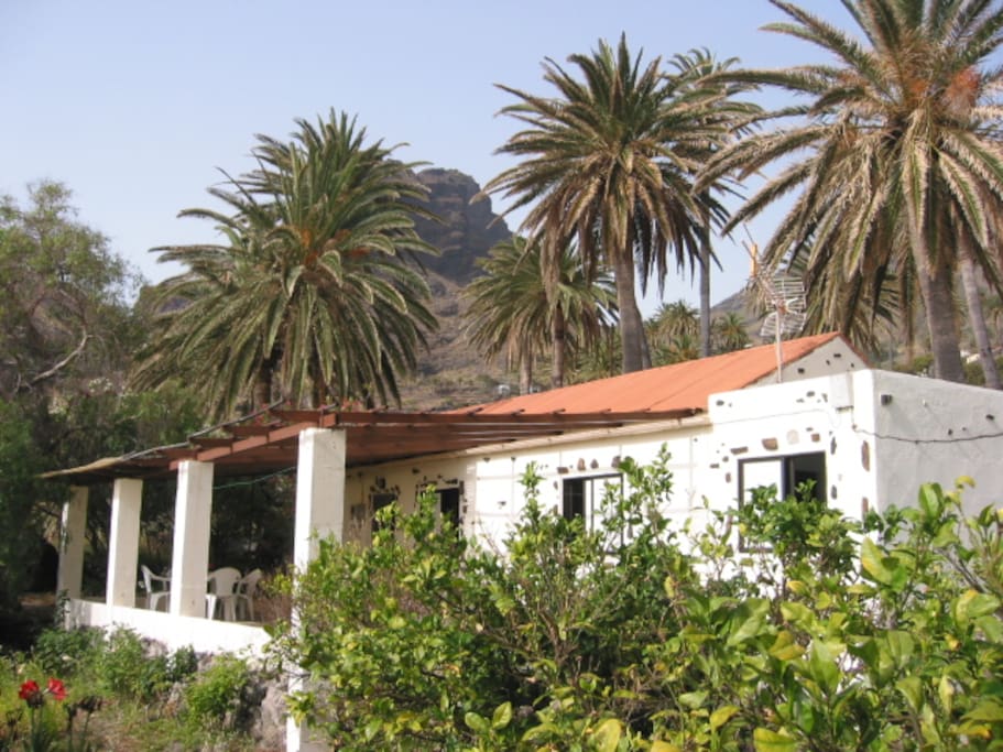 THE HOUSE AND TERRACE