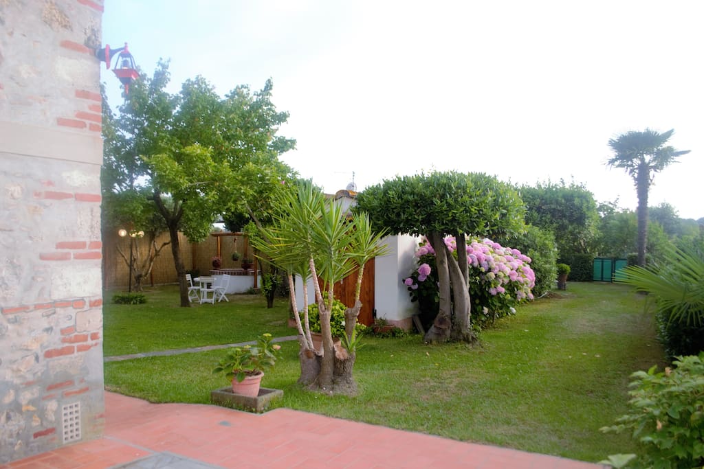 Ingresso
