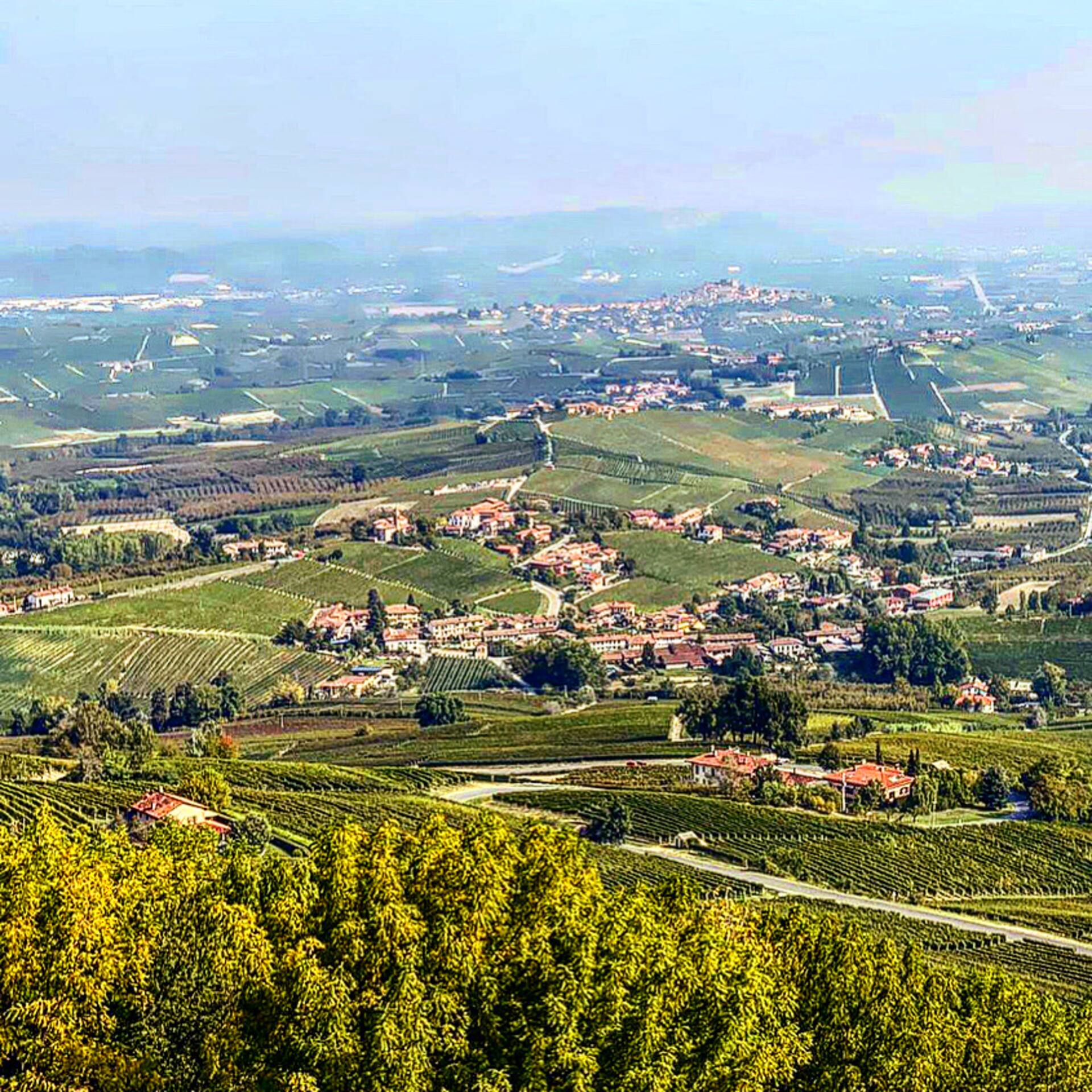 La Vista Barolo in La Morra