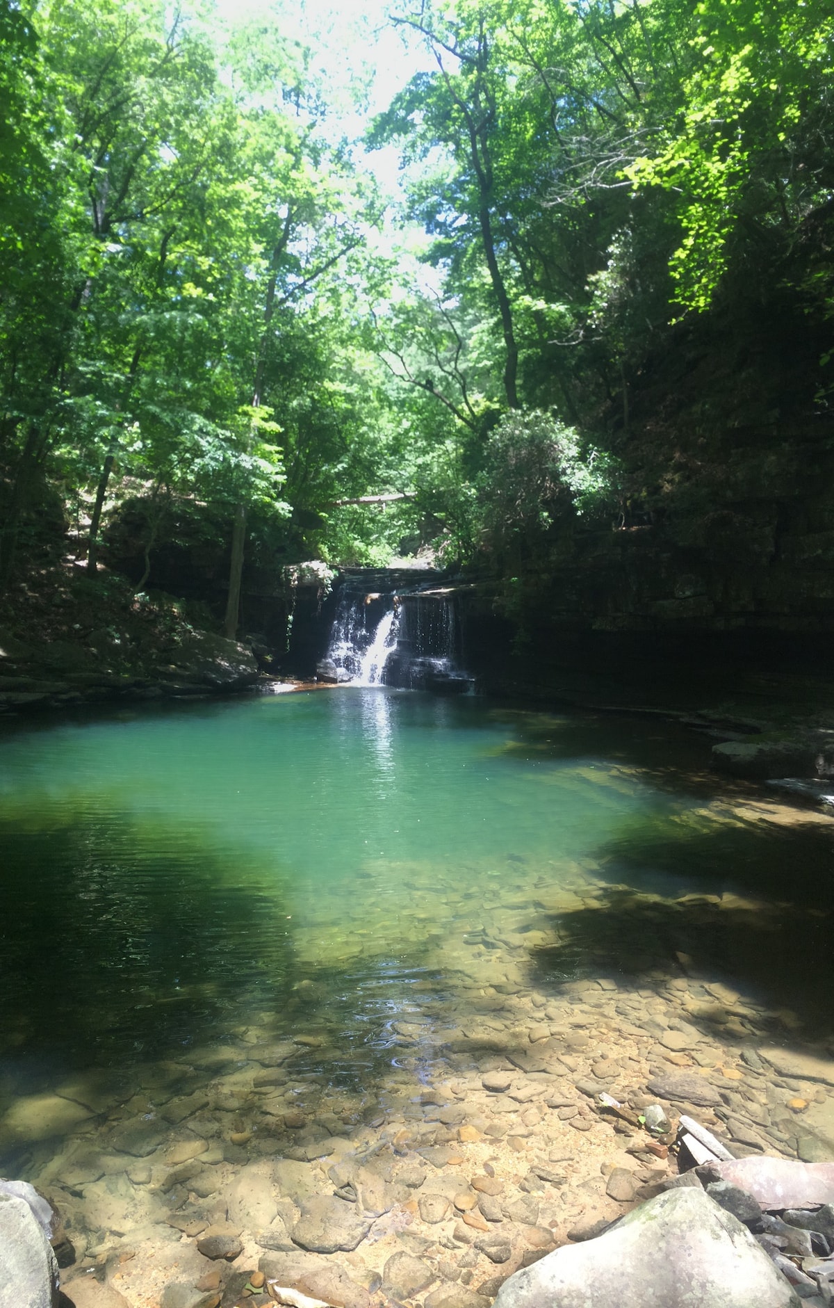 A serene pool of clear water is surrounded by lush greenery and rocky terrain. The gentle cascade of a waterfall spills into the pool, creating a tranquil atmosphere. Sunlight filters through the trees, illuminating the scene and reflecting off the water's surface.