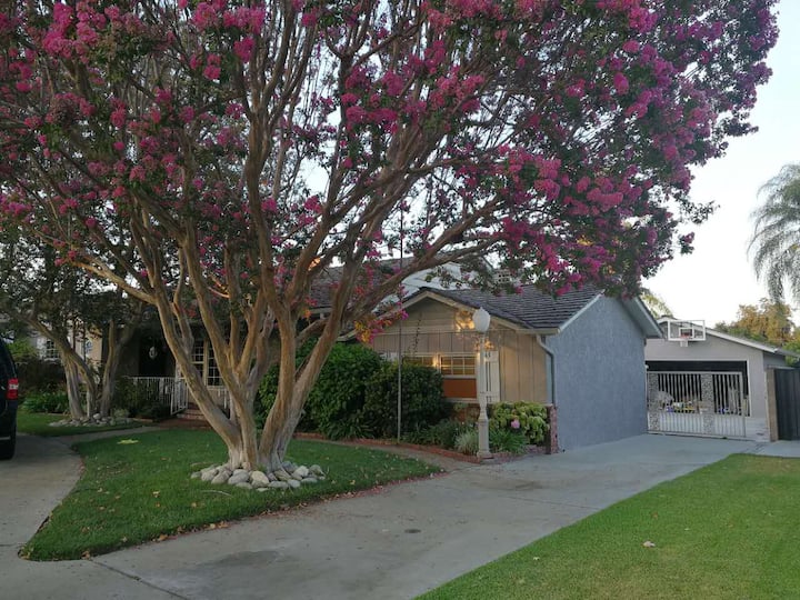 10 Best Airbnb Vacation Rentals In Arcadia, California Updated 2024