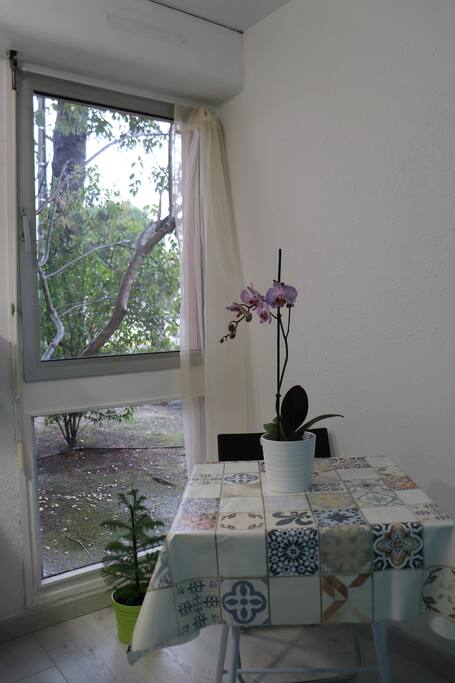 Vue sur le jardin
