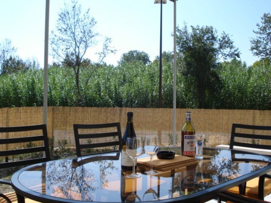 Apéro sur la terrasse ...