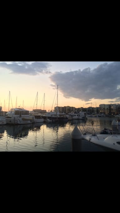 Harbor sunset