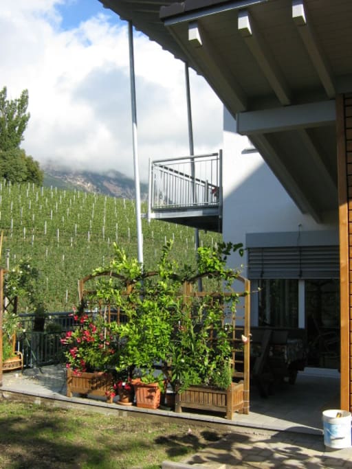 Il giardino
