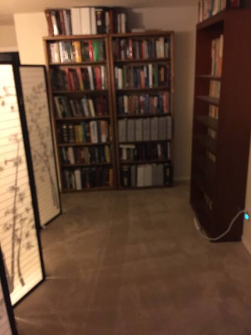 Partitioned game room with dimensions of 16 ft by 8 ft ex of air mattress.