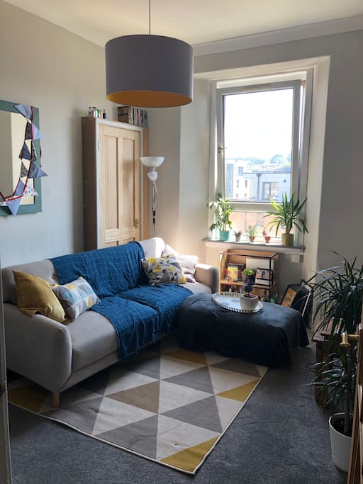 Living room with sofa bed
