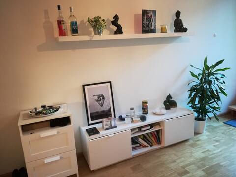 Cozy 2-bedroom studio in downtown Basel