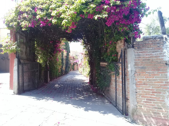 San Miguel De Allende Vacation Rentals | Villa and House Rentals | Airbnb